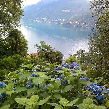 Rustico Marietta By Holap Sa Casa de Férias Brissago